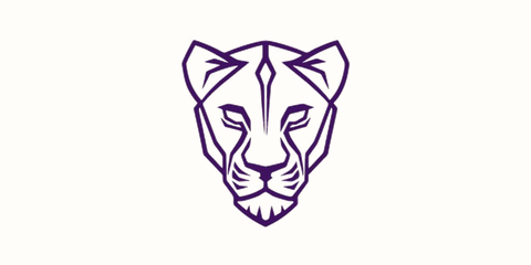 Lioness: Justice Impacted Women's Alliance (JIWA)